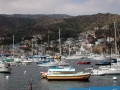 DSCN3149