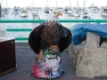 DSCN3191