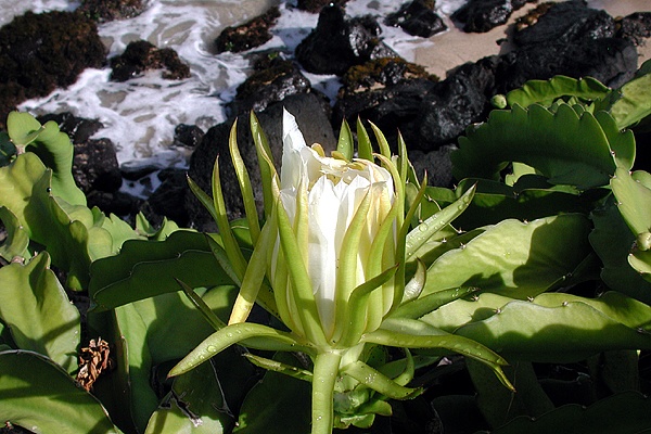 DSCN3008.JPG