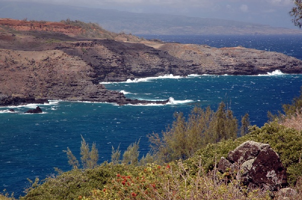 DSC_0824.jpg
