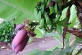 DSCN2937