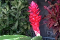 DSCN2940