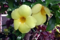 DSCN2978