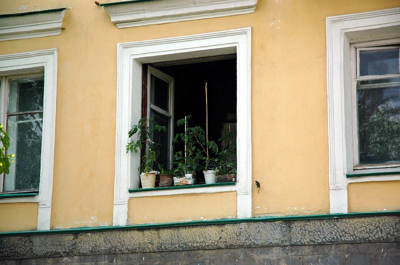 DSC_5993.jpg