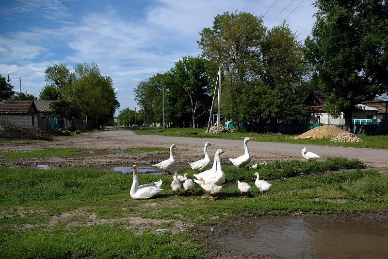DSC_6689.jpg