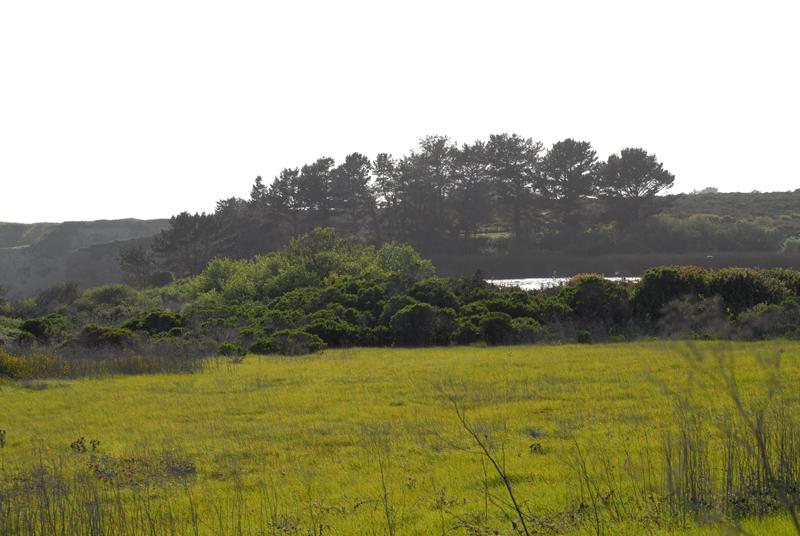 DSC_0177.JPG