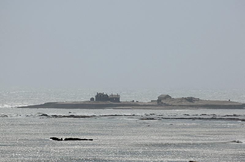 DSC_8477.JPG