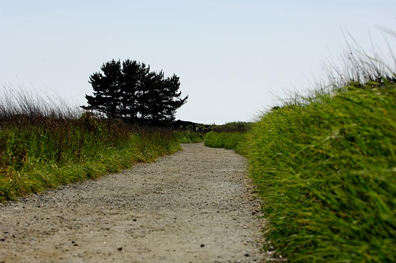 DSC_8509.JPG