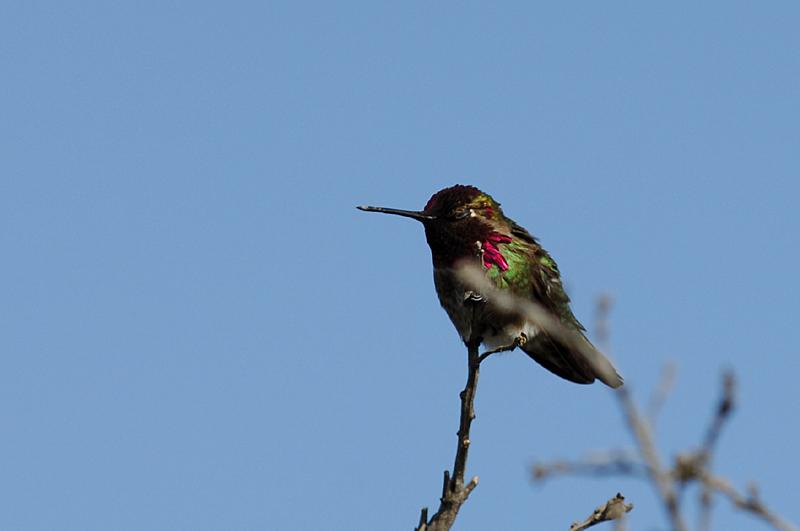 DSC_8955.JPG