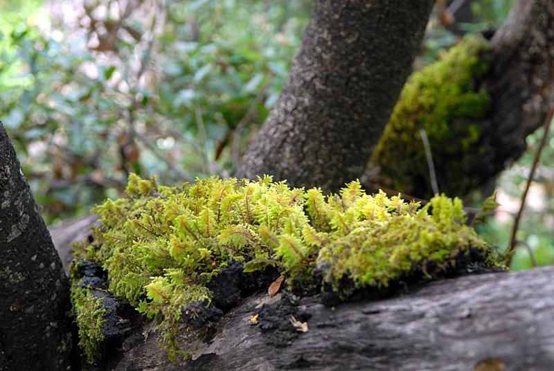 DSC_9692.JPG