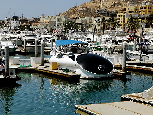 DSC_8032.JPG