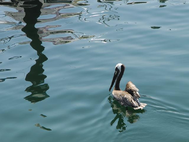DSC_8441.JPG