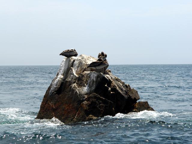 DSC_8742.JPG