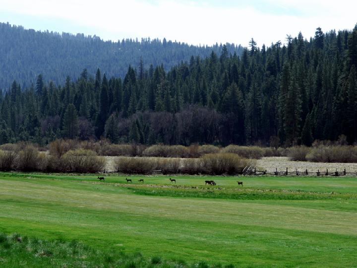 DSC_4581.JPG