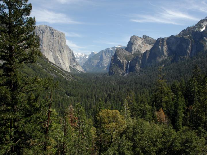 DSC_4631.JPG
