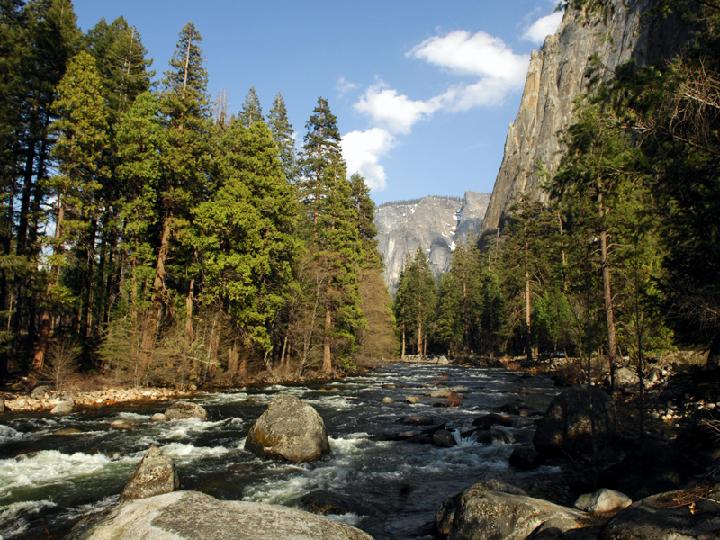 DSC_5345.JPG