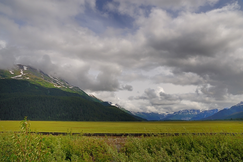 DSC_1100.jpg