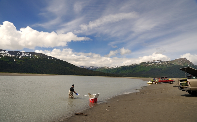 DSC_1160.jpg