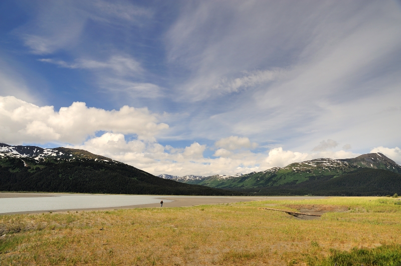 DSC_1203.jpg