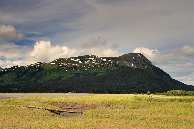 DSC_1210.jpg