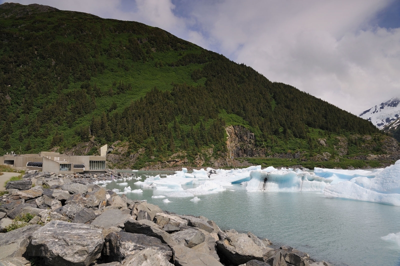 DSC_1338.jpg