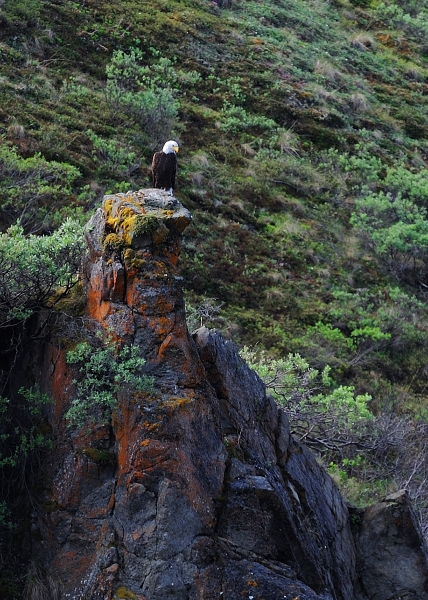 DSC_2217a.jpg