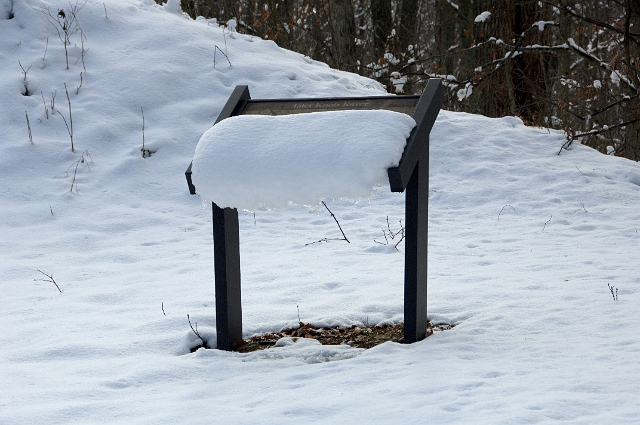 DSC_9570.jpg