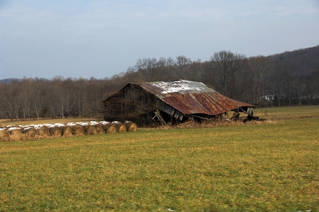 DSC_9696.jpg