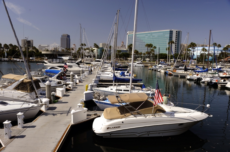 DSC_7801a.jpg