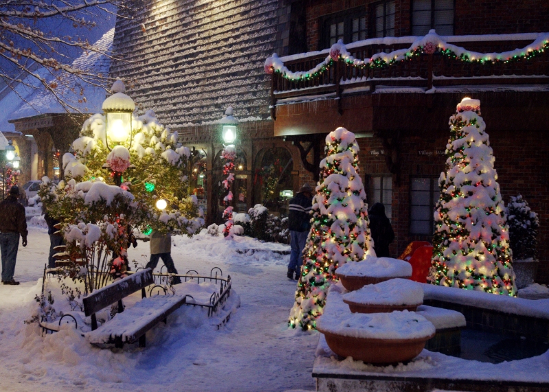 D7K_1211.jpg