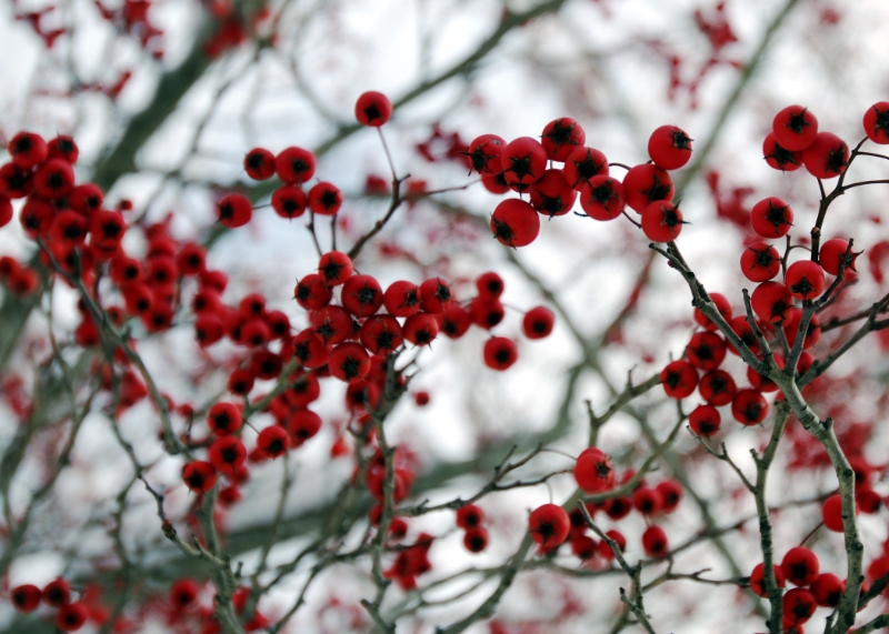 D7K_1608.jpg