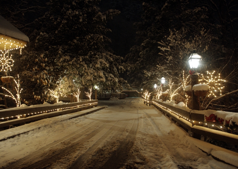 DSC_6248.jpg