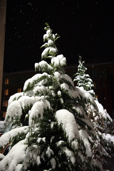 DSC_6271.jpg