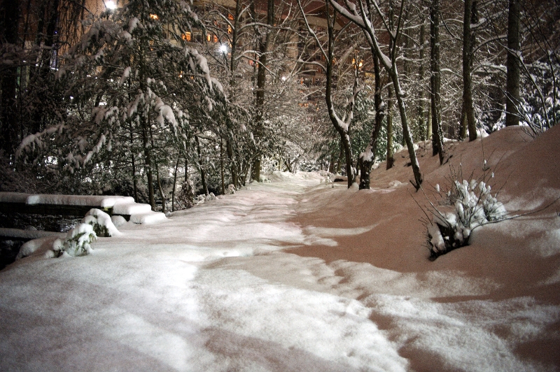 DSC_6299.jpg