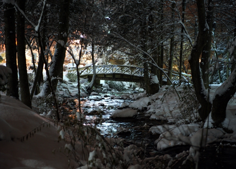DSC_6304.jpg
