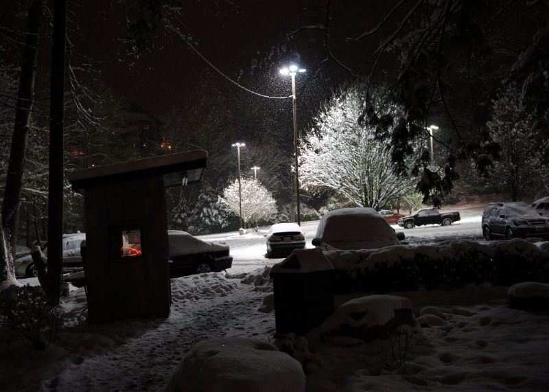 DSC_6306.jpg