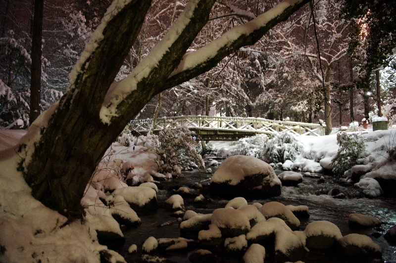 DSC_6320.jpg