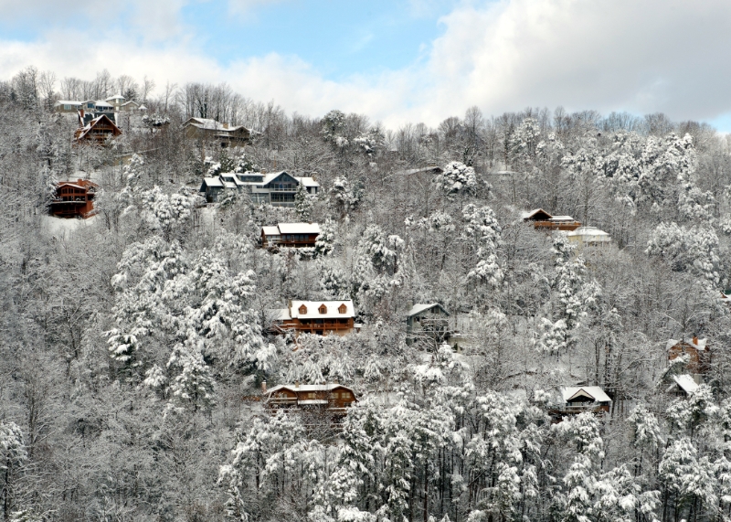 DSC_6446.jpg