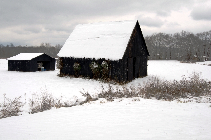 D7K_0677.jpg