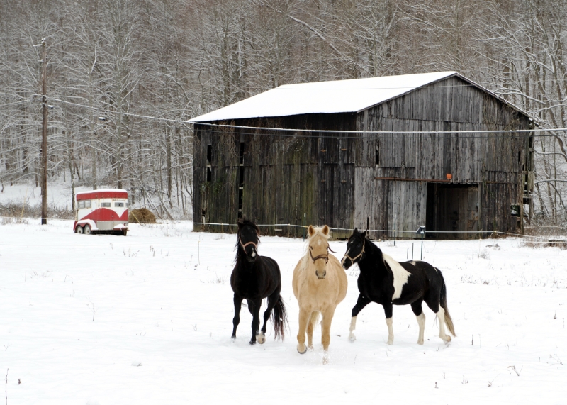 DSC_6044.jpg