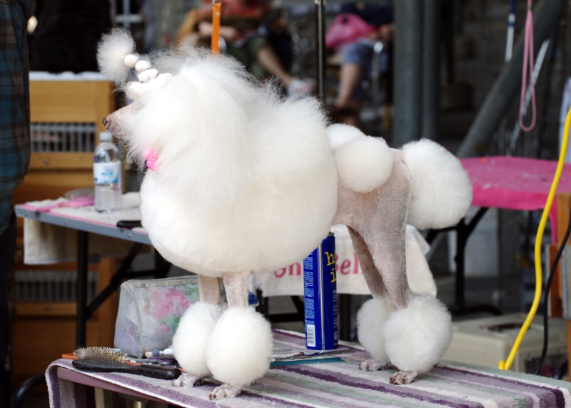 DSC_8164.jpg
