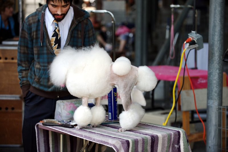 DSC_8165.jpg